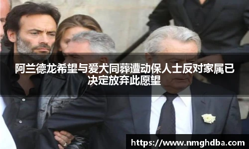 PA国际厅官方网站